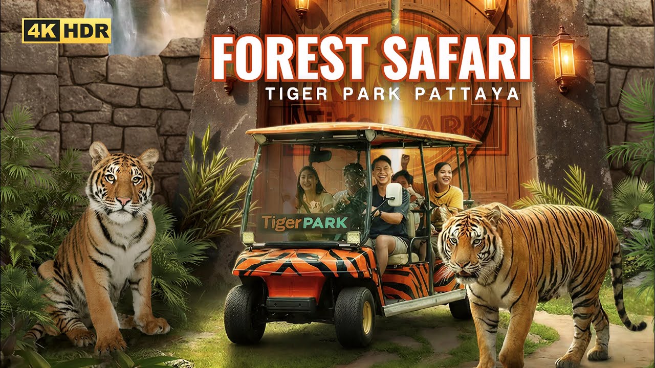 Tiger Park Pattaya Get up Close to Tigers | Ride in the Forest at Forest Safari Full tour