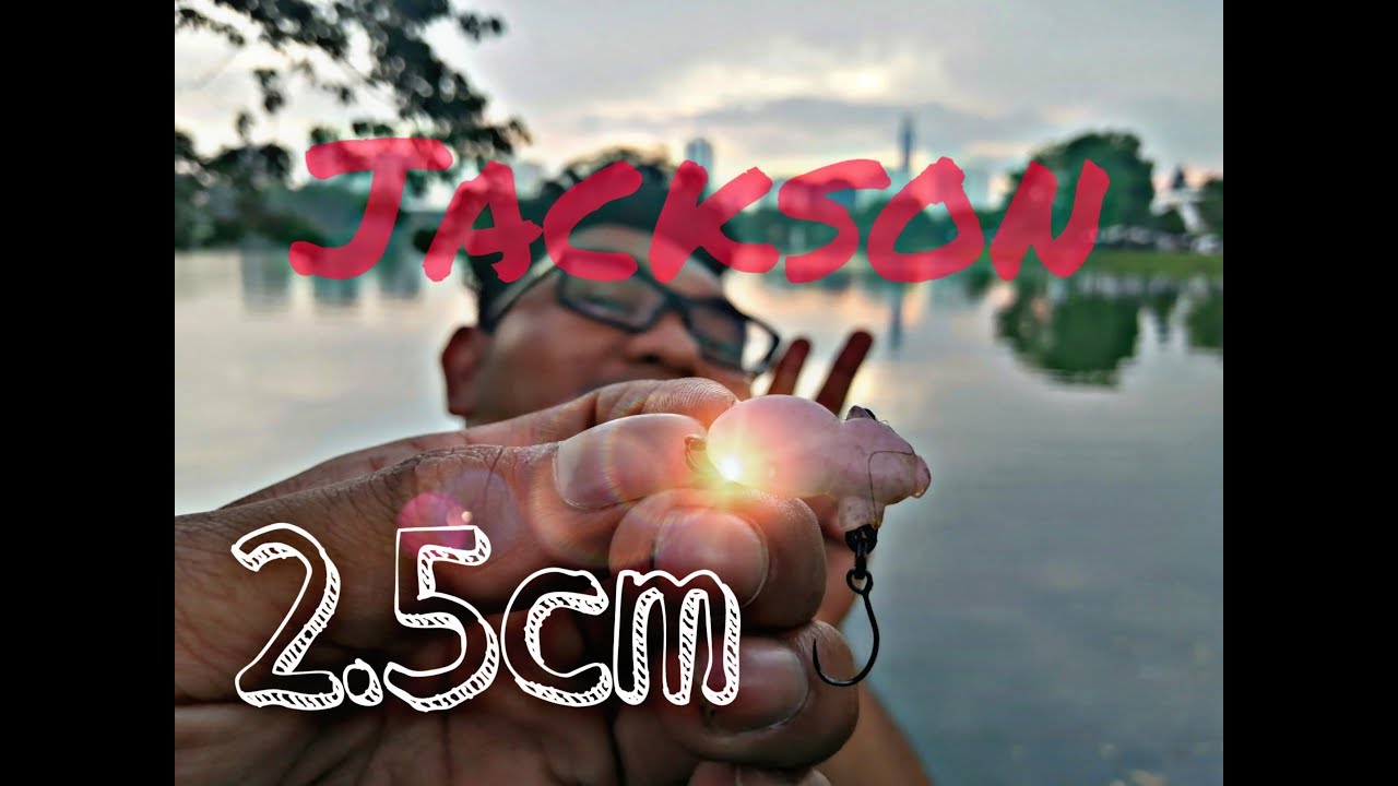 Gewang terkecik di dunia jackson kumo 2.5cm #jacksonlure
