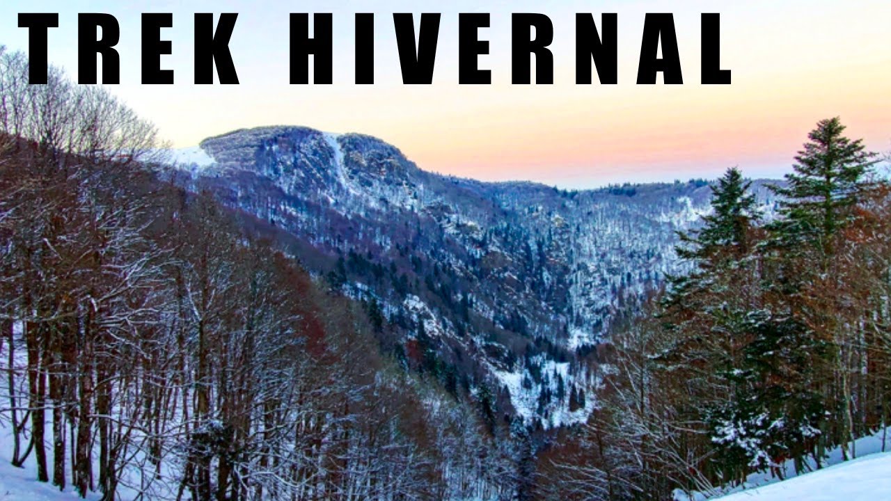 TREK HIVERNAL - BALLON D'ALSACE