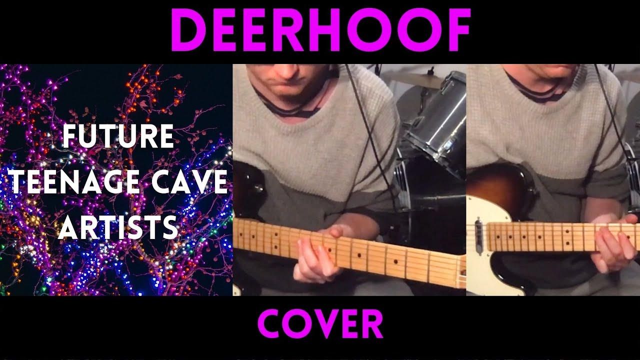 Deerhoof - Future Teenage Cave Artists (Guitar Cover)