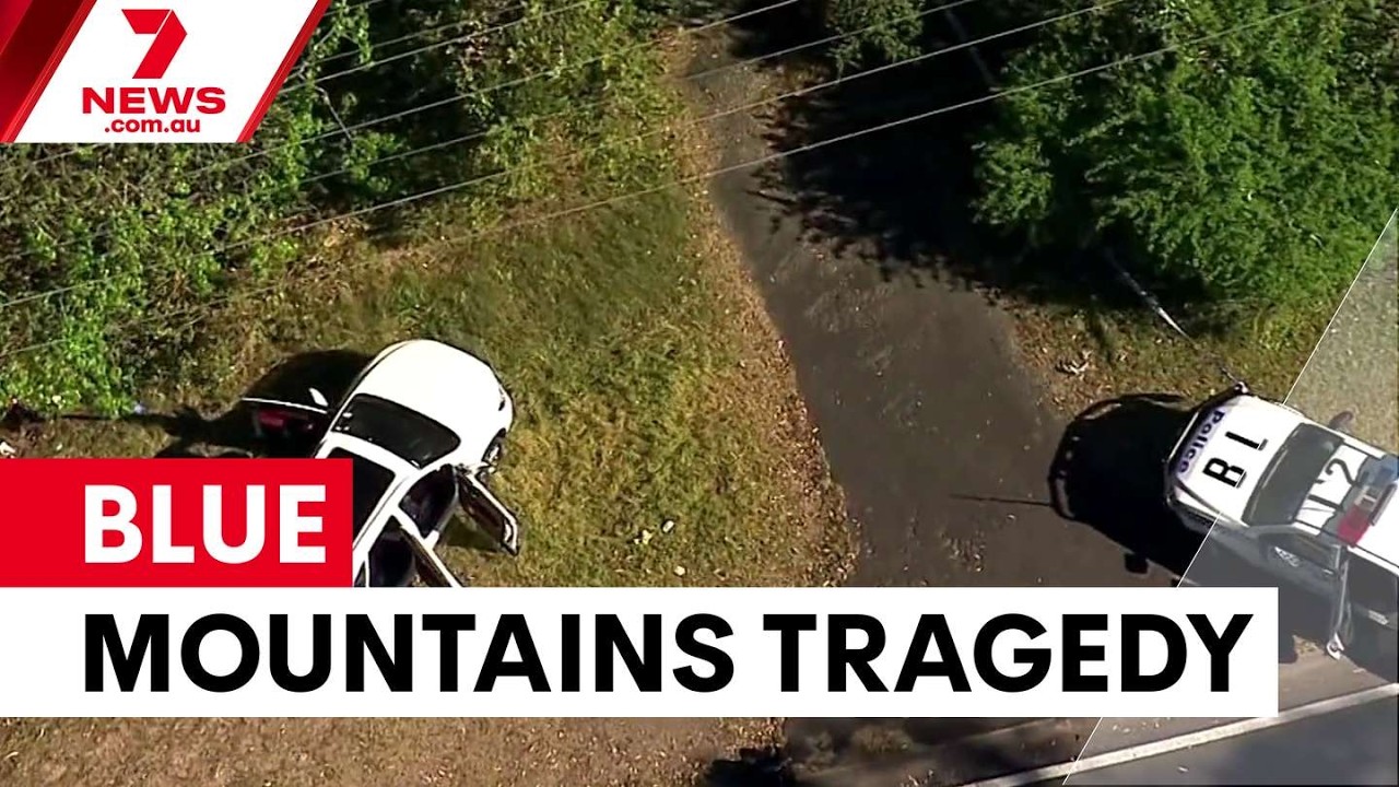 Tragedy in Blue Mountains as boy dies in attack | 7NEWS