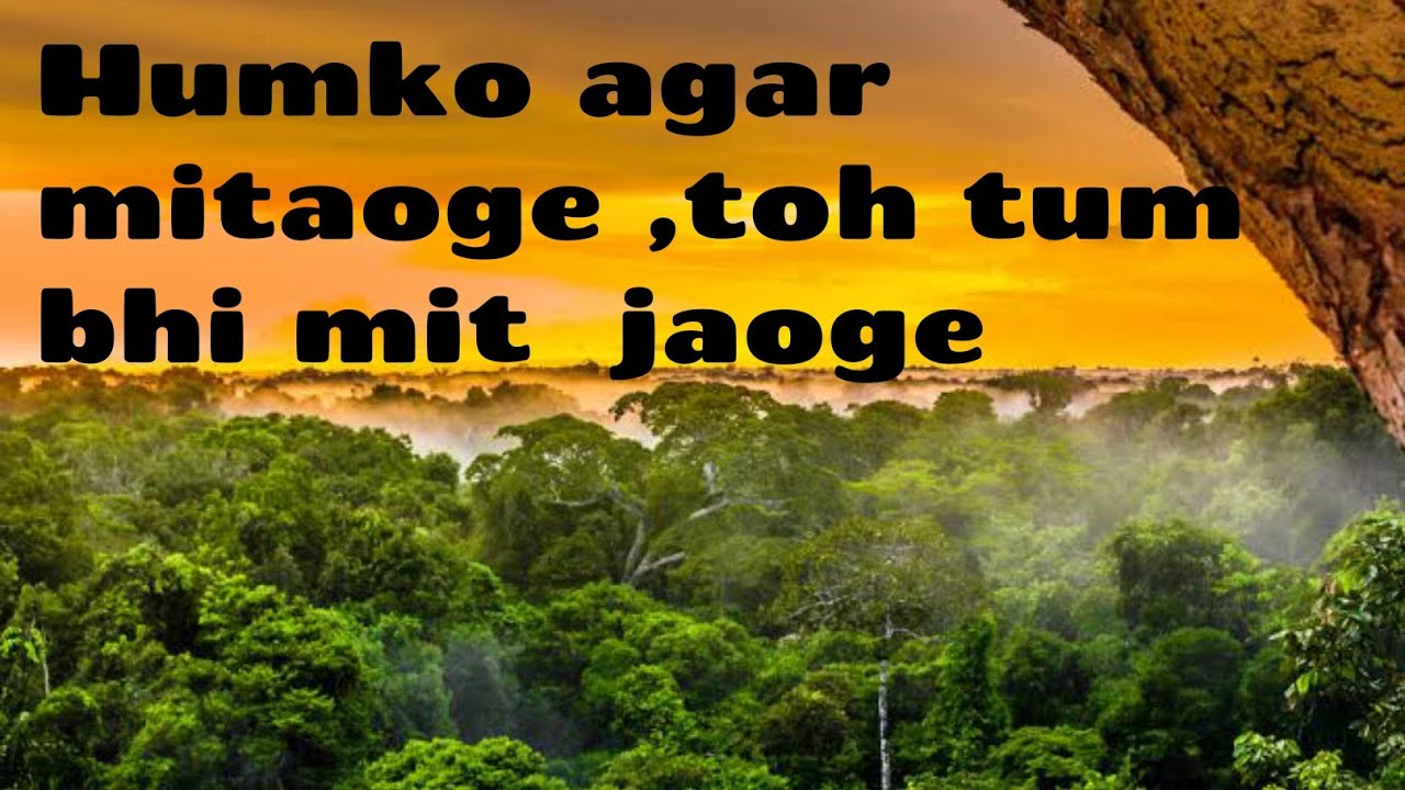 SDG 15 | Life on land(sustainable development goals 2030)