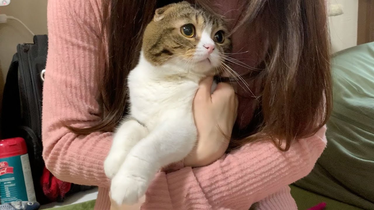 パパ猫が拗ねちゃいました…