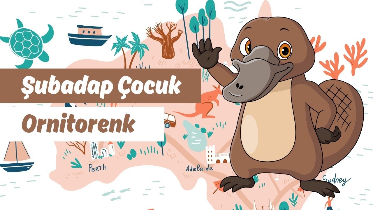 Ornitorenk | Şubadap &Ccedil;ocuk