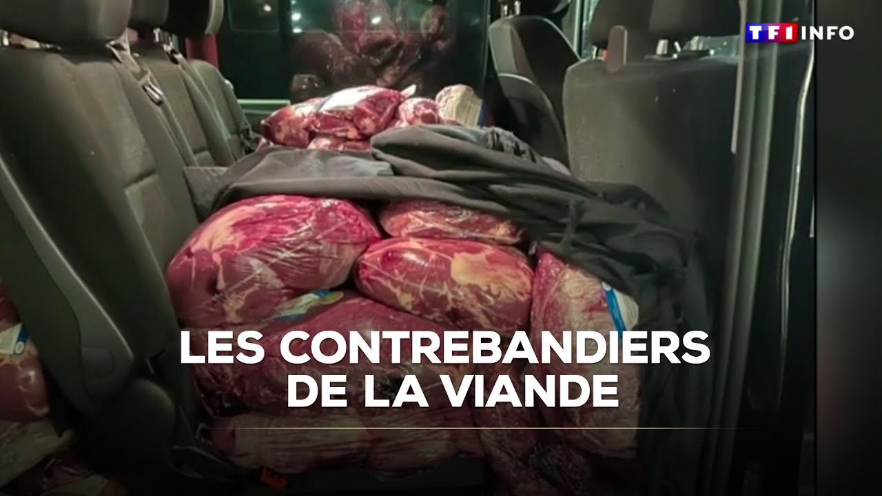 Les contrebandiers de la viande｜TF1 INFO