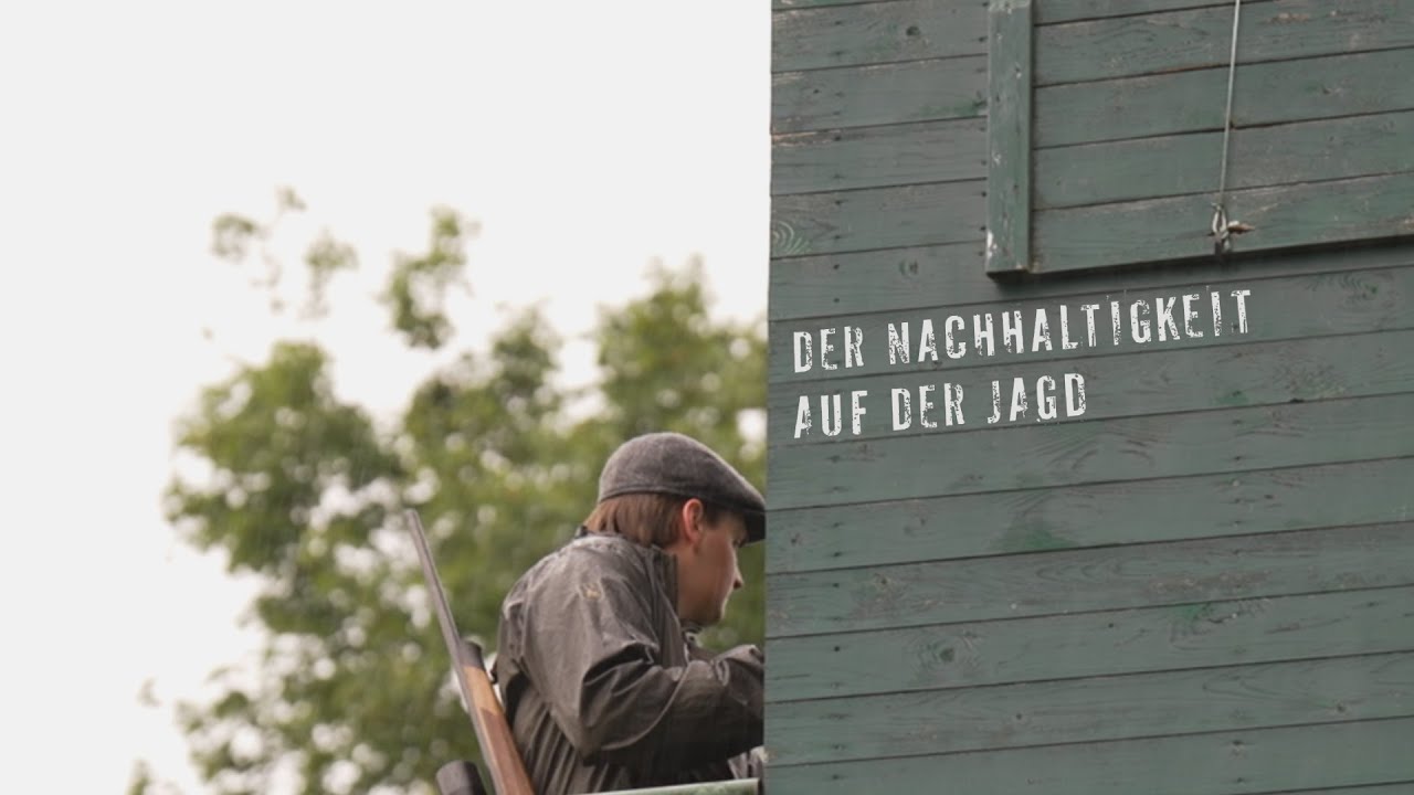 Abschlussfilm Mediengestalter für Bild und Ton 2024 (64 Punkte) | Der Nachhaltigkeit auf der Jagd