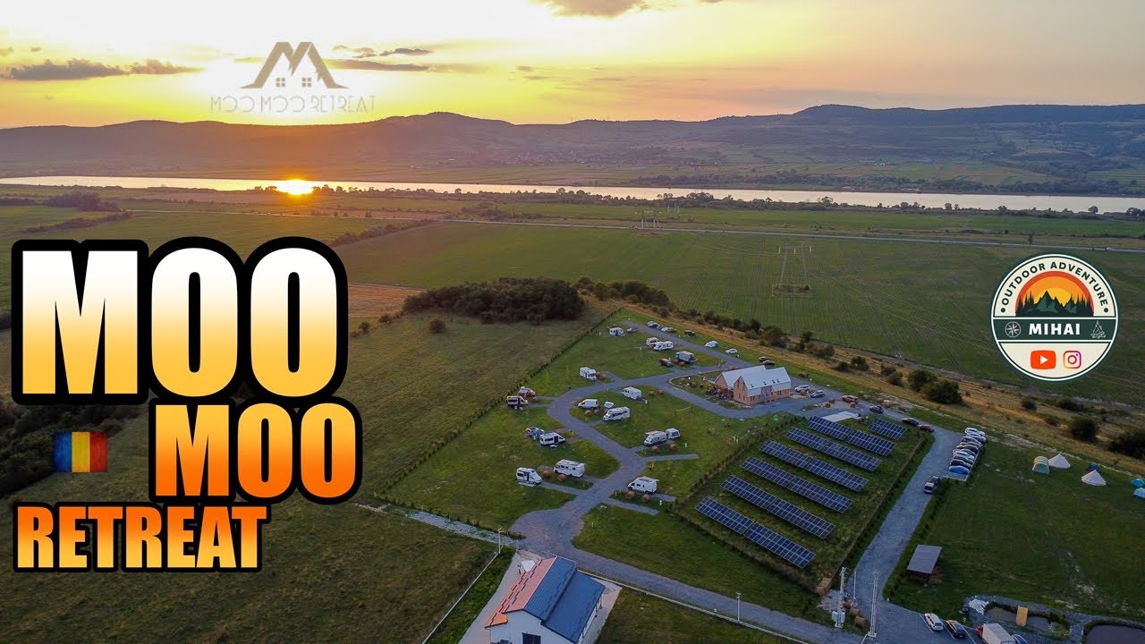 Cum a fost la deschiderea Moo Moo Retreat?  -  Camping  |  Porumbacu de Jos, Sibiu