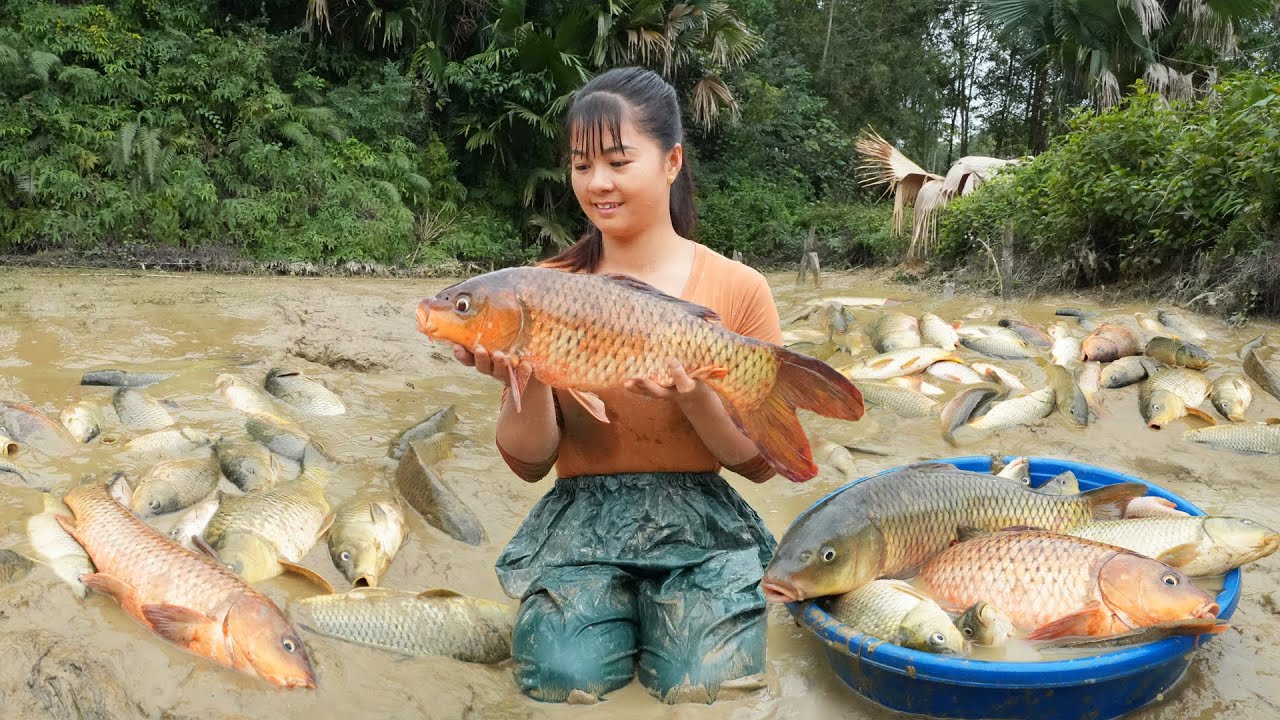 120 Days Harvesting A Lot Of Fish At Mud Pond Goes to market sell - Harvesting, Cooking, Farming