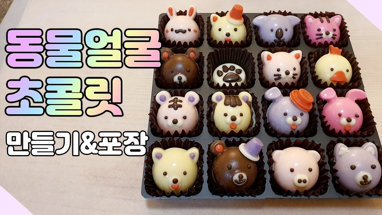 동물얼굴 초콜릿 만들기! (만들기 세트) making chocolate