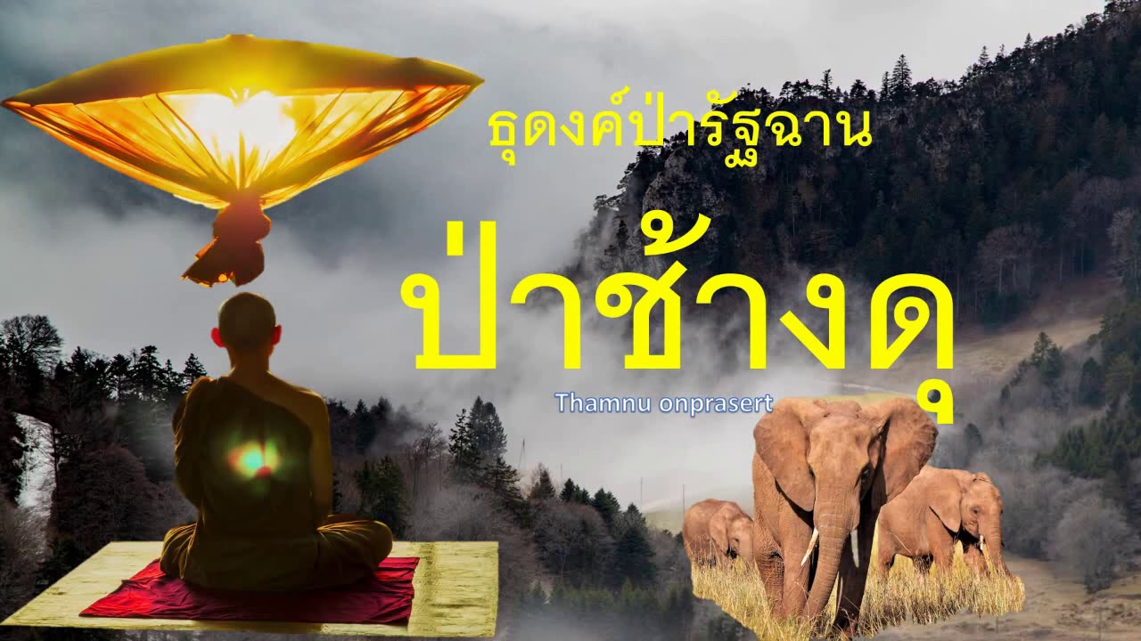 ๑๔๘ .ป่าช้างดุ  ธุดงค์ป่ารัฐฉาน