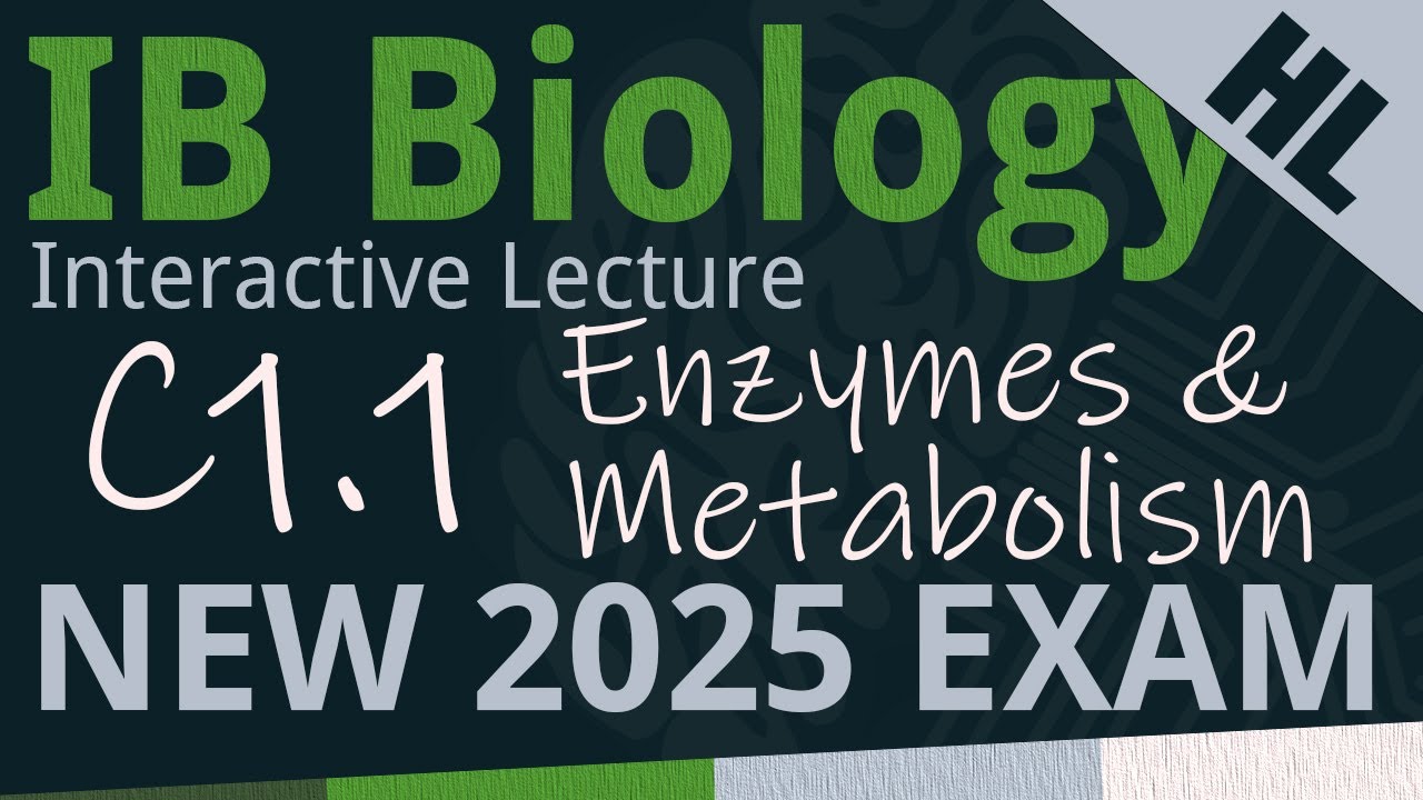 IB Biology C1.1 - Enzymes & Metabolism [AHL] - Interactive Lecture 2025-2033
