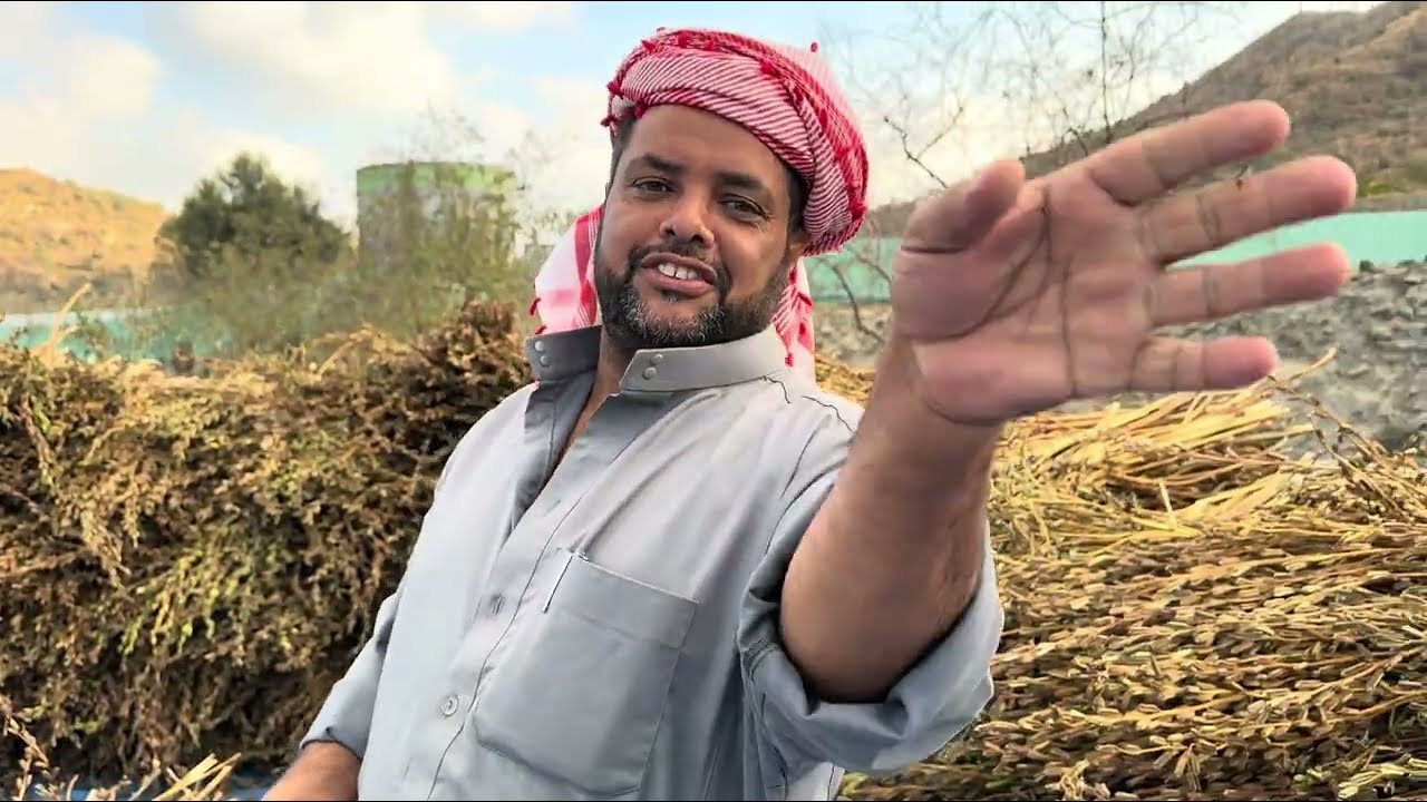 علوم المزرعة 