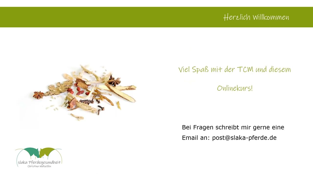 Einf&uuml;hrungsvideo zum Selbstlernkurs 