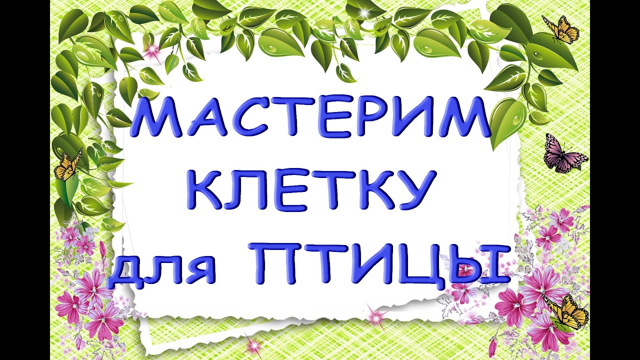 КЛЕТКА для ПТИЦЫ своими руками.Как и из чего сделать птичью клетку.