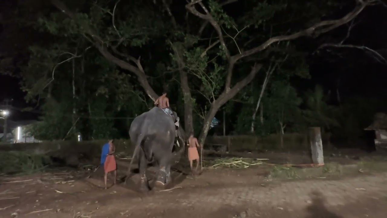 5തിരുഉത്സവം ✨✨✨ വെളിനല്ലൂർ മണികണ്ഠൻ ✨✨🥰 