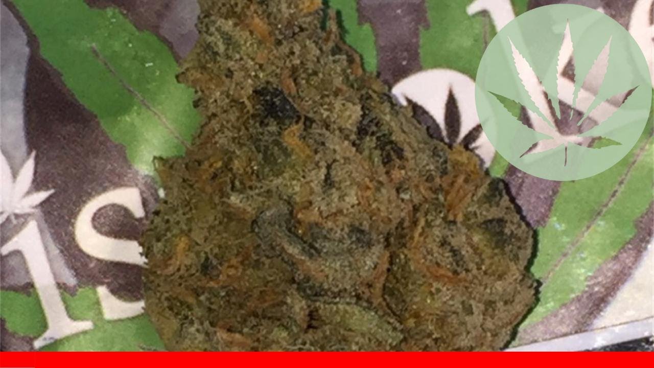 Lemon Bubble - All About This Strain