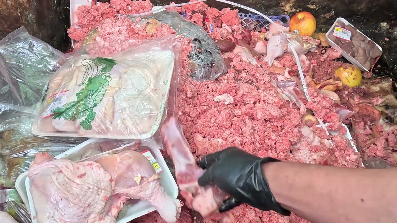 Dumpster Diving SUPER JACKPOT! sa Karne, sinamahan pa ng mga hita ng manok ang harbat (UnEdited)
