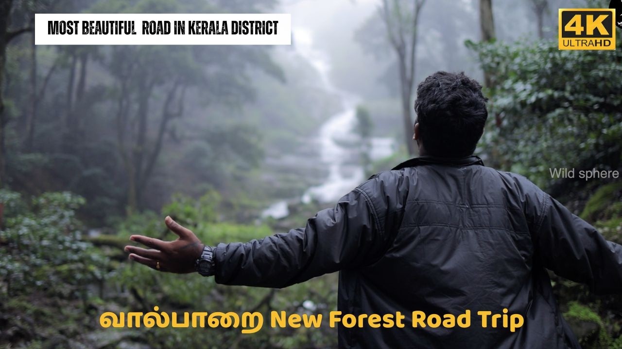 அதிரப்பள்ளி to வால்பாறை peak monsoon time ride |new forest road trip thalanar estate |#valparai #4k