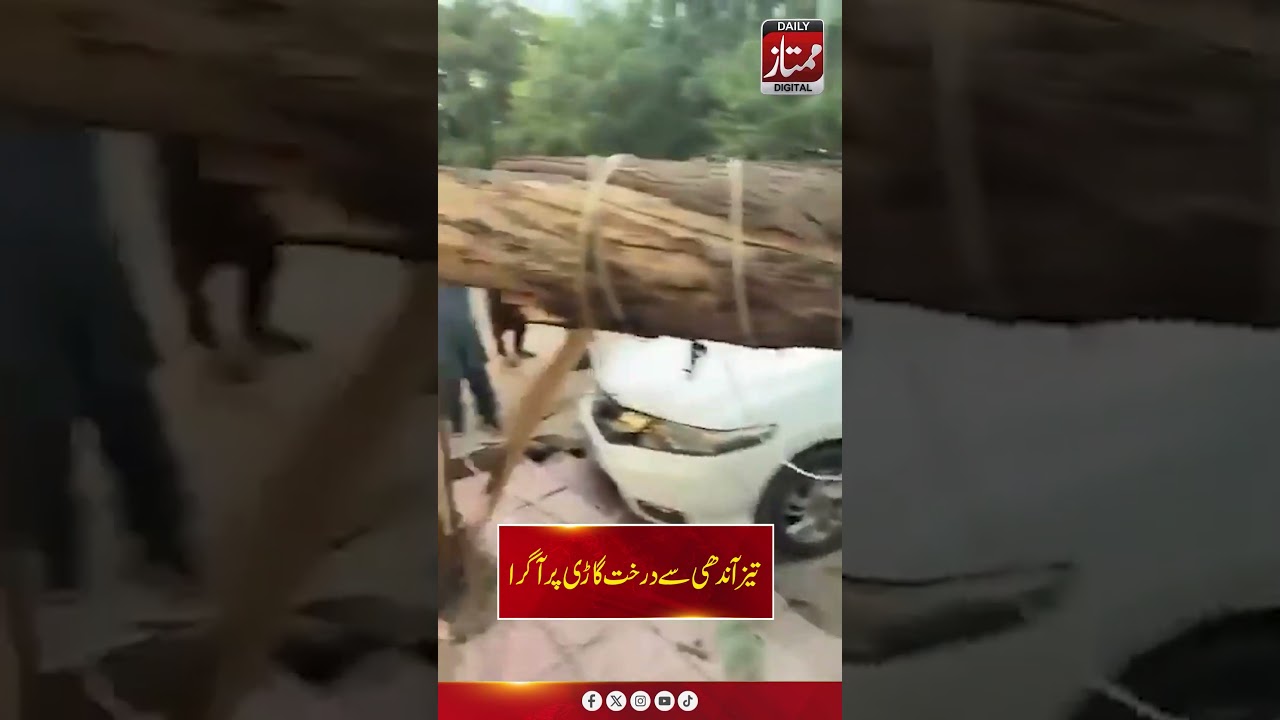 Heavy Rain & Strong Winds in Islamabad Damage Car After Tree Falls I Daily Mumtaz
