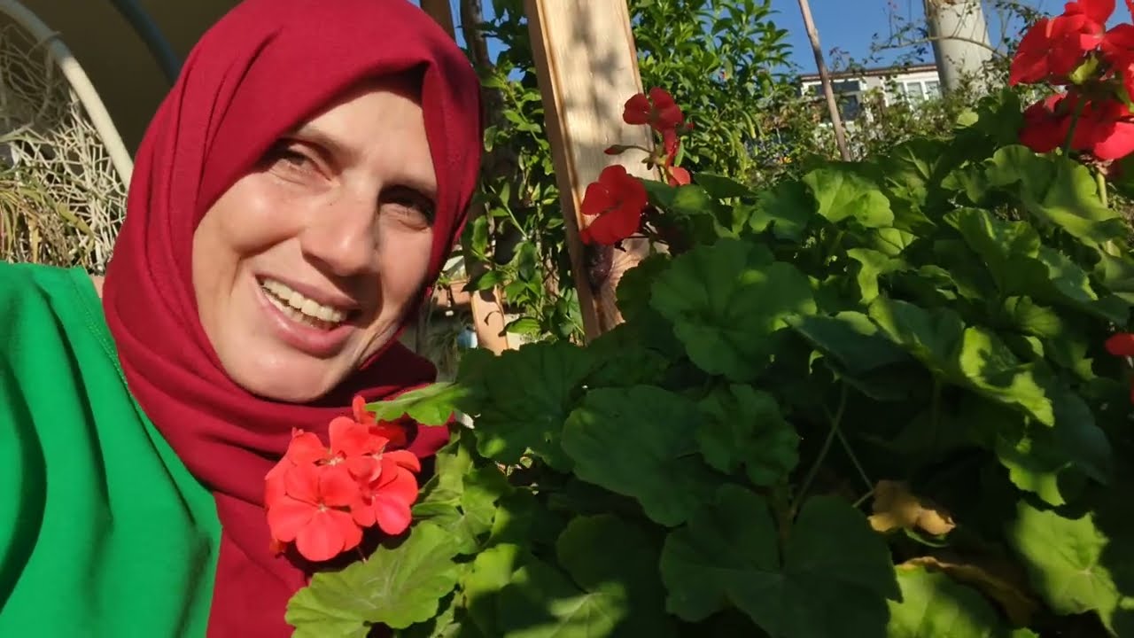 Kırmızı Sardunya ile Pişti Olmuşuz, Bahçe ve Gül Çelikleri