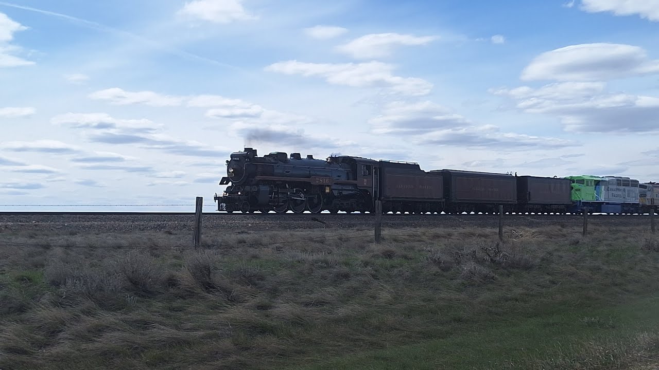 CPKC 2816 The Empress Final Spike Tour Begins! Calgary to Medicine Hat chase...