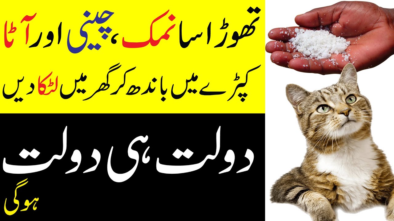 Namak Chini aur Atta | Dolat Hi Dolat Hogi