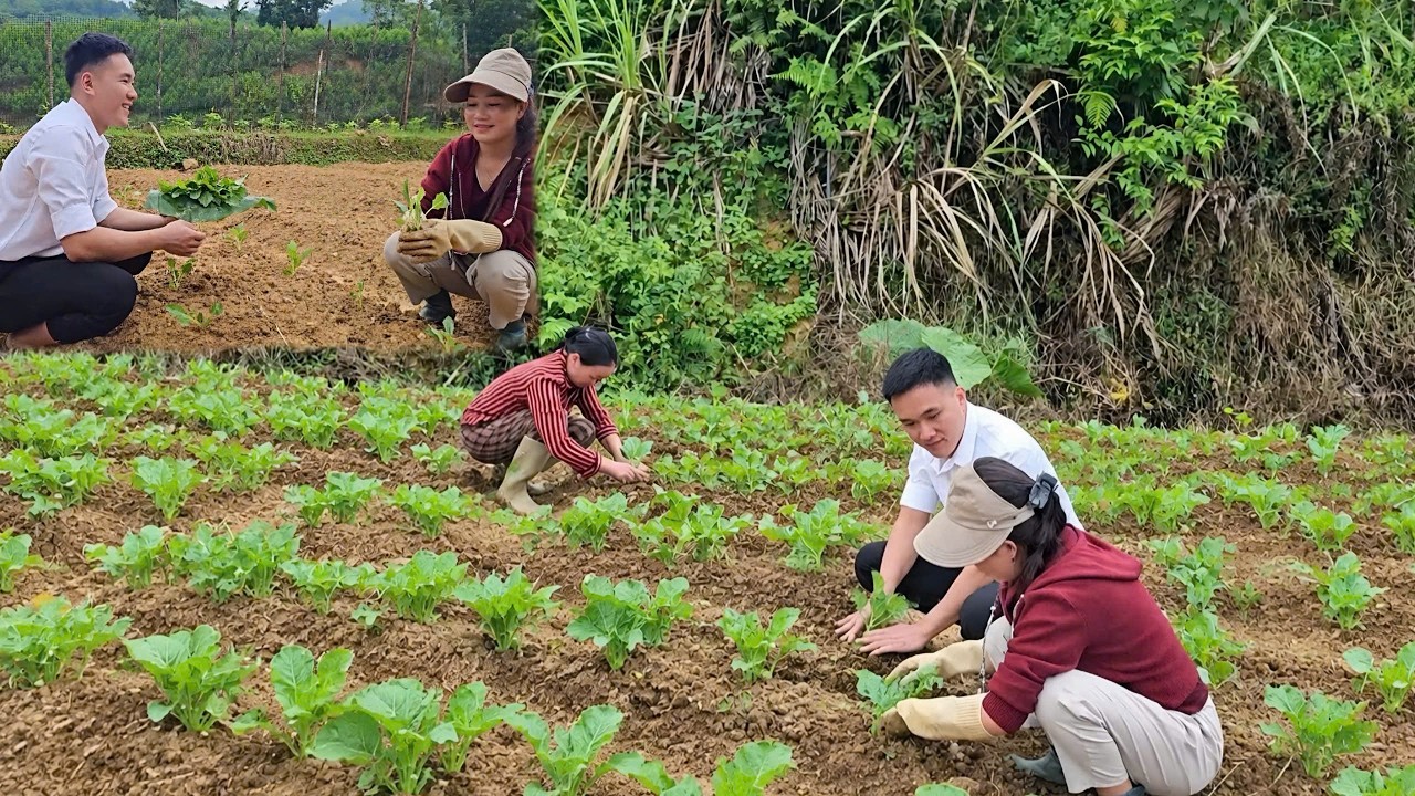 Nhat forgave Mui, and together they planted the season's first rows of vegetables
