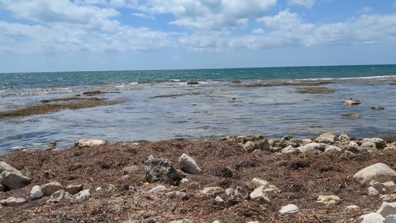 secluded beach