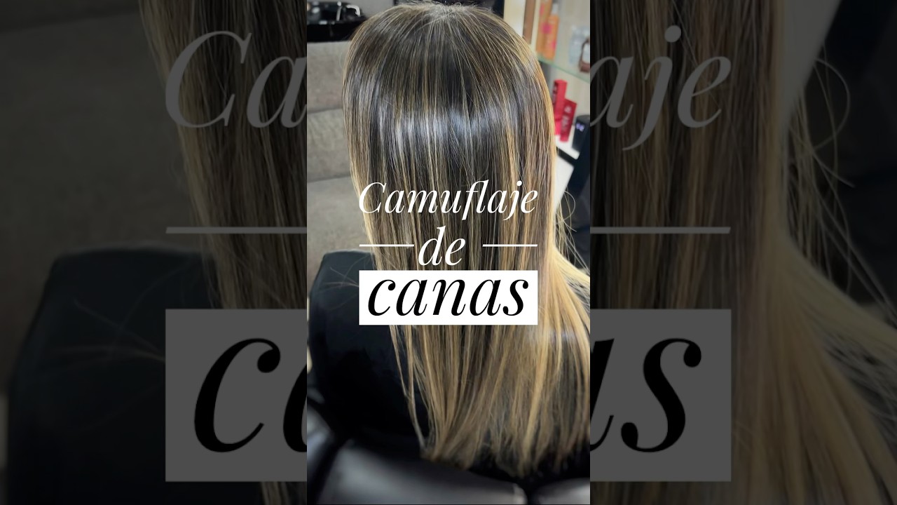 Camuflaje de canas          &iquest;Sab&iacute;as que no necesitas te&ntilde;ir todo tu cabello para disimular las canas?