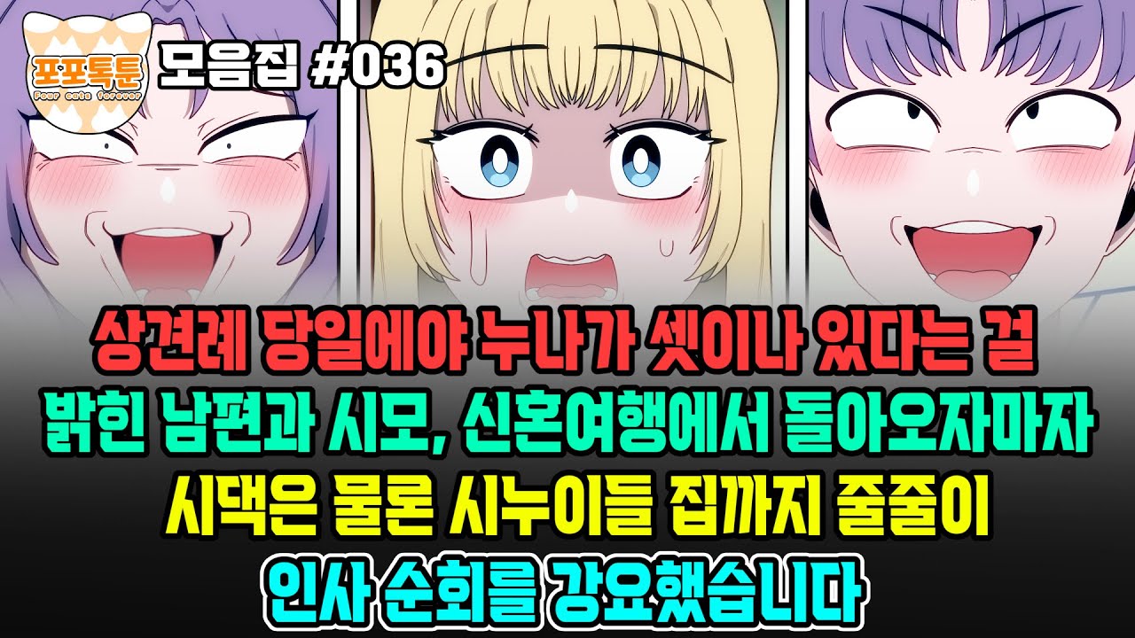 포포톡툰 모음집 #036] 상견례 당일에야 누나가 셋이나 있다는 걸 밝힌 남편과 시모, 신혼여행에서 돌아오자마자 시댁은 물론 시누이들 집까지 줄줄이 인사 순회를 강요했습니다