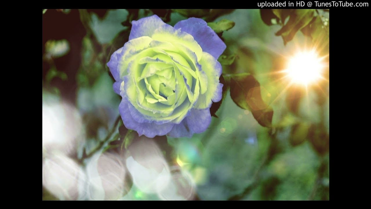 EVERYTHING ／ PAMELAH