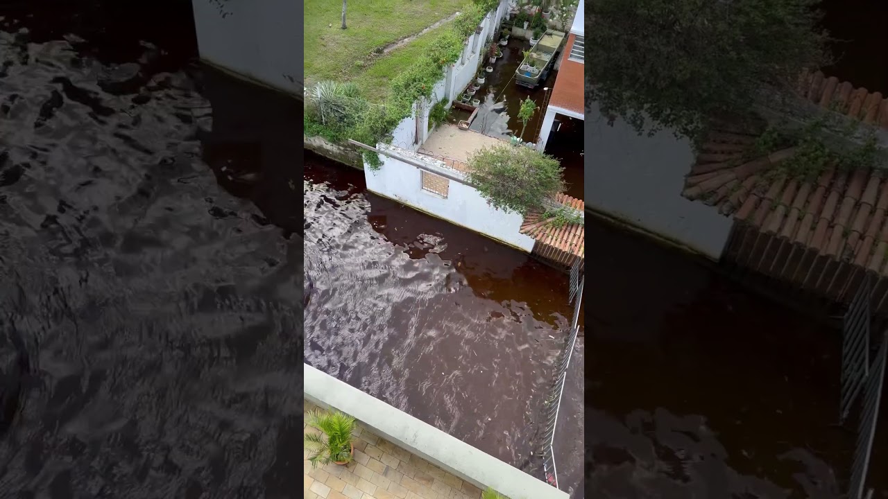A casa grega em Manaus.