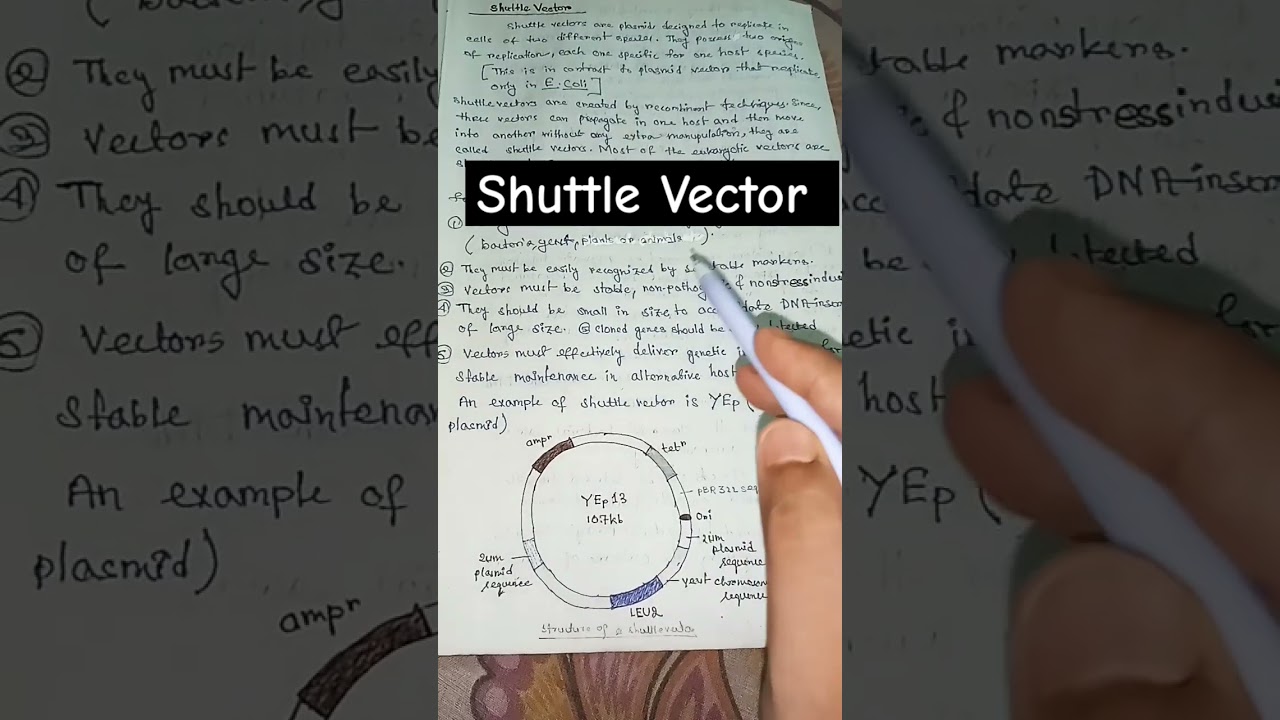 Shuttle vector in biotechnology#biotechnology  #biology #zoology #shortsfeed #shorts #trending