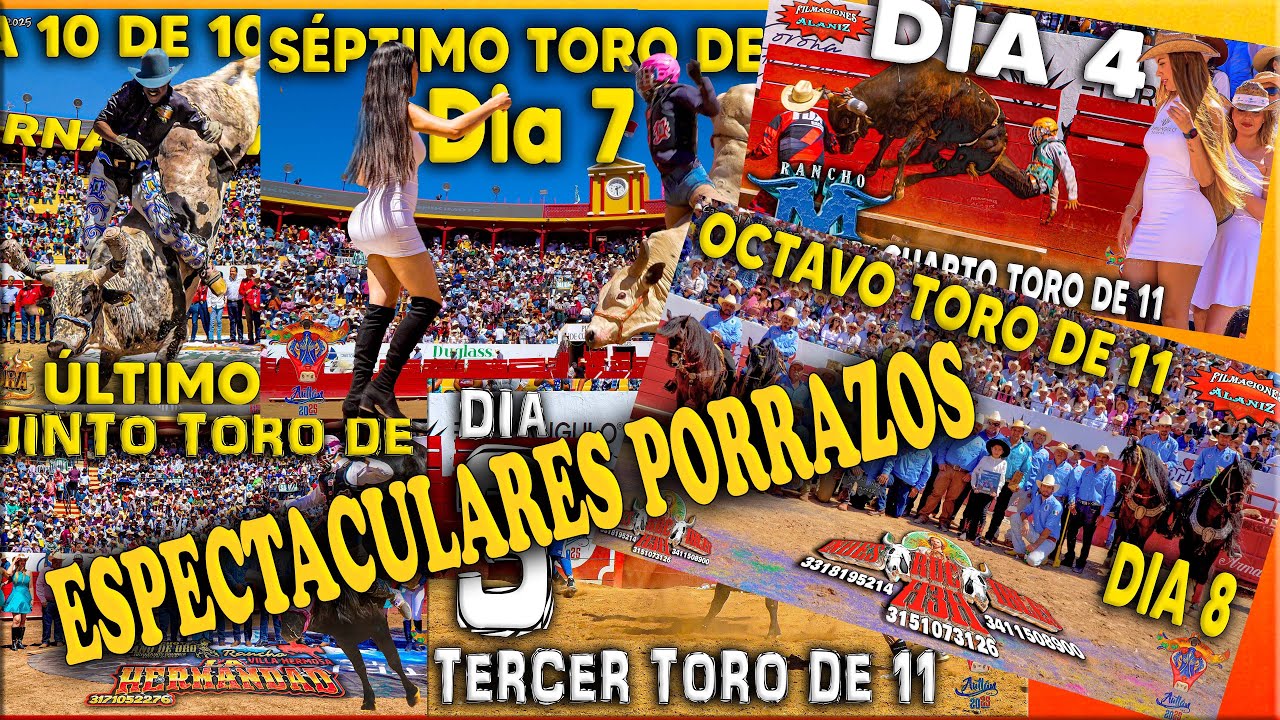 LOS MEJORES PORRAZOS DE LOS TOROS DE 11 DEL CARNAVAL AUTLÁN 2025