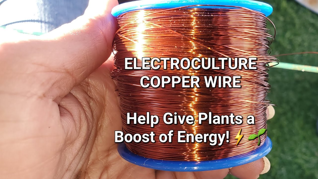 Copper Wire Electroculture⚡️🌱 Boost Energy #electroculture #copperwire   #growyourownfood #gardening
