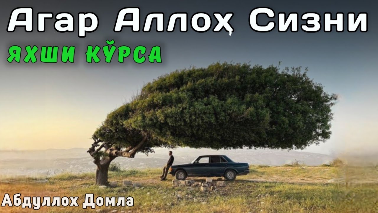 Агар Аллоҳ Сизни Яхши Кўрса ! Абдуллох Домла | Abdulloh Domla | ilmnuri #abdullohdomla #islam