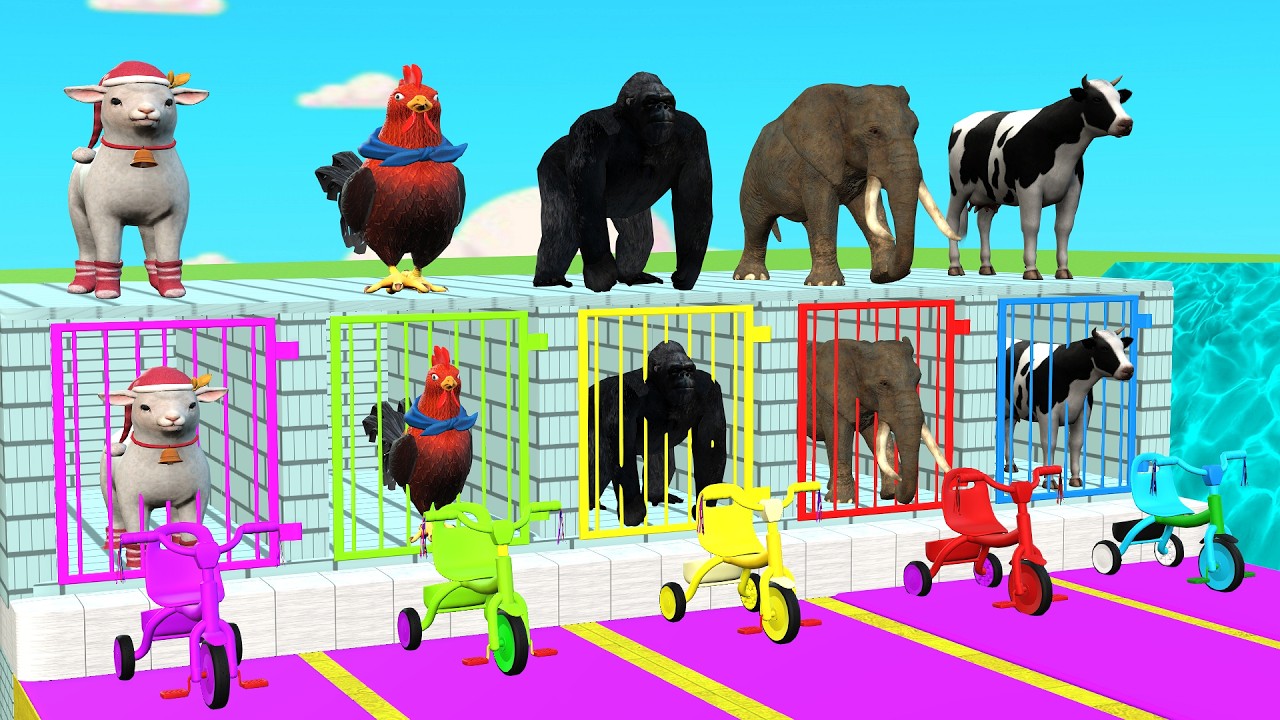 Long Slide Game With Cow Elephant Gorilla Hippopotamus Tiger 3d Animal Game Funny 3d Animals