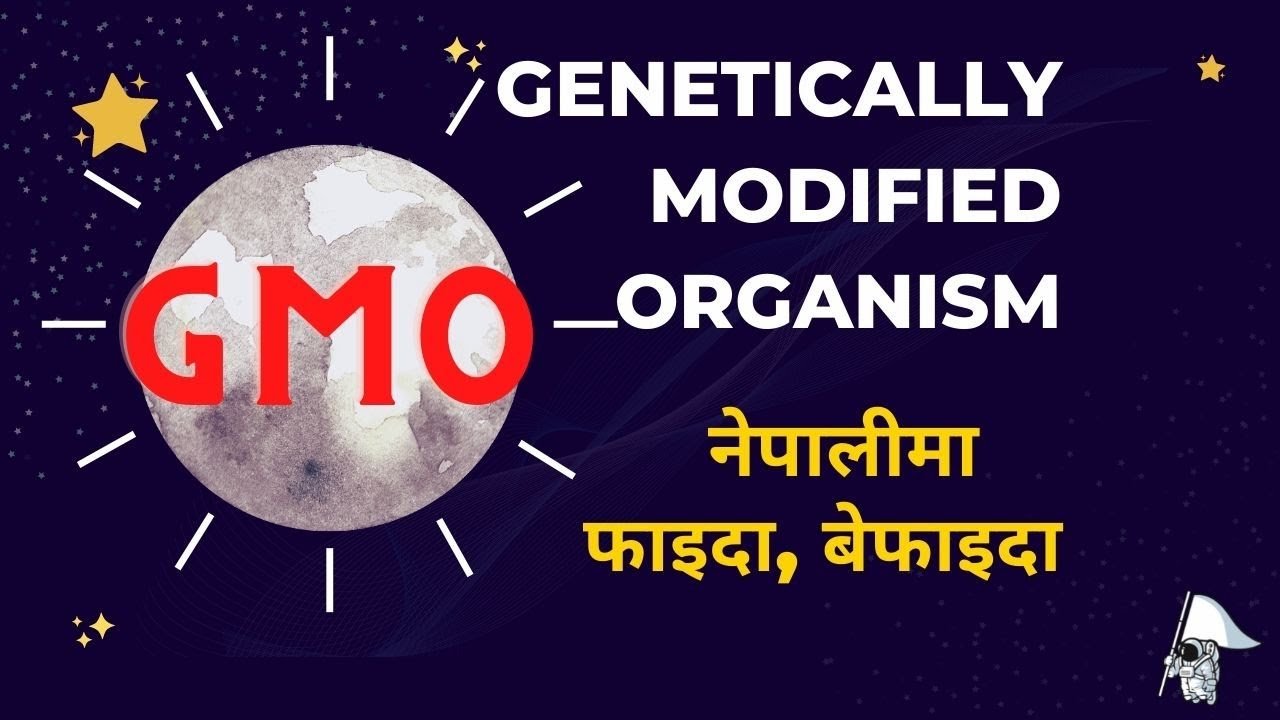 GMO (Genetically Modified Organism) अनुवंश परिवर्तित जिव Nepal and the darkest future | Rabin Paudel