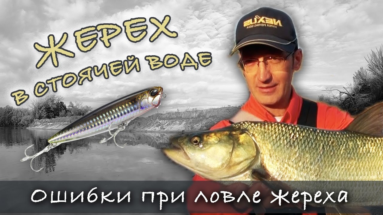НЕ ДЕЛАЙТЕ ЭТОГО ЕСЛИ ХОТИТЕ ПОЙМАТЬ ЖЕРЕХА! Ошибки при ловле жереха на спиннинг | Fishing for asp