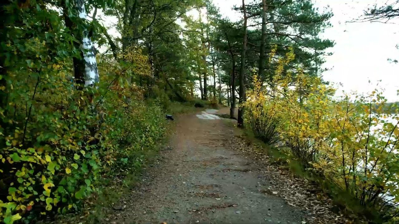 K&aring;sj&ouml;n H&ouml;sten 2022