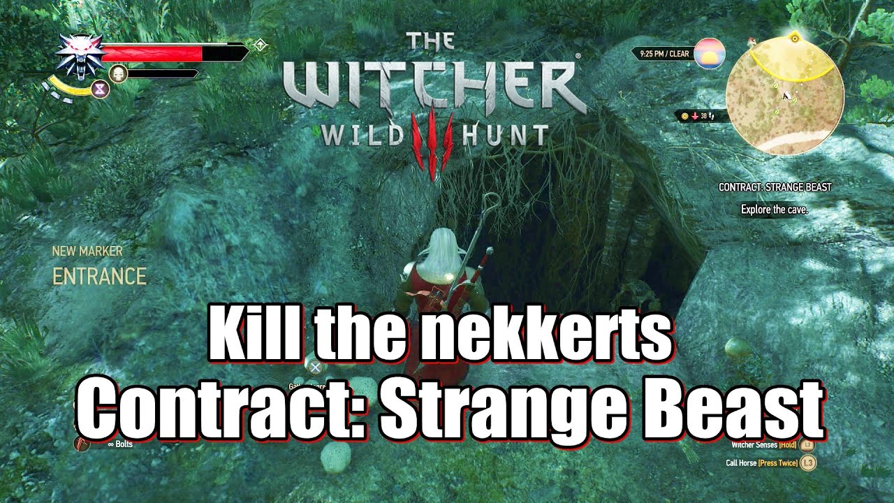 The Witcher 3 Wild Hunt Contract: Strange Beast (Hagumban)