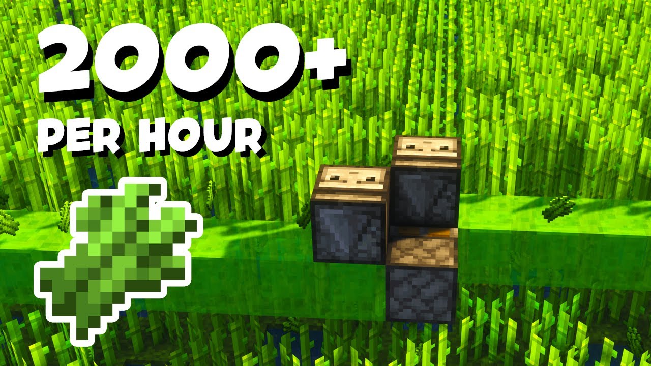Easy LAG-FREE Automatic Sugarcane Farm in Minecraft 1.21+