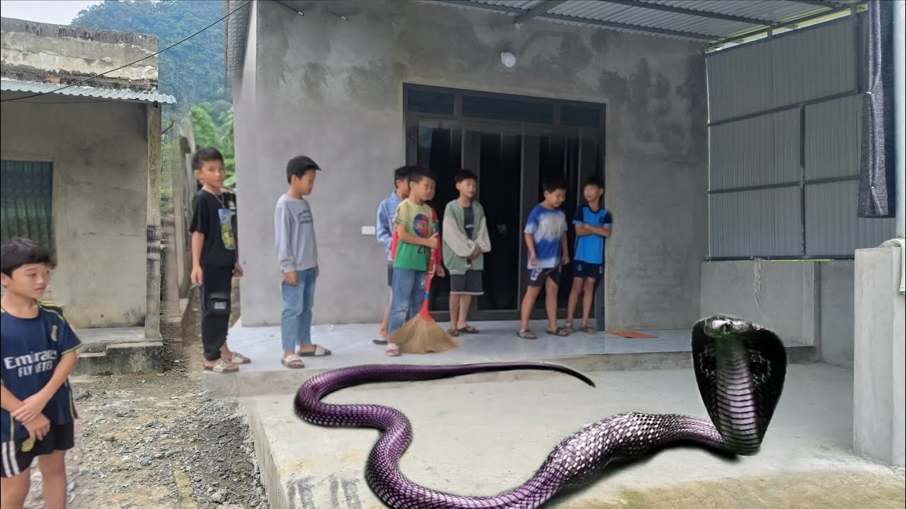 Group of brave young men and giant cobra looking for food