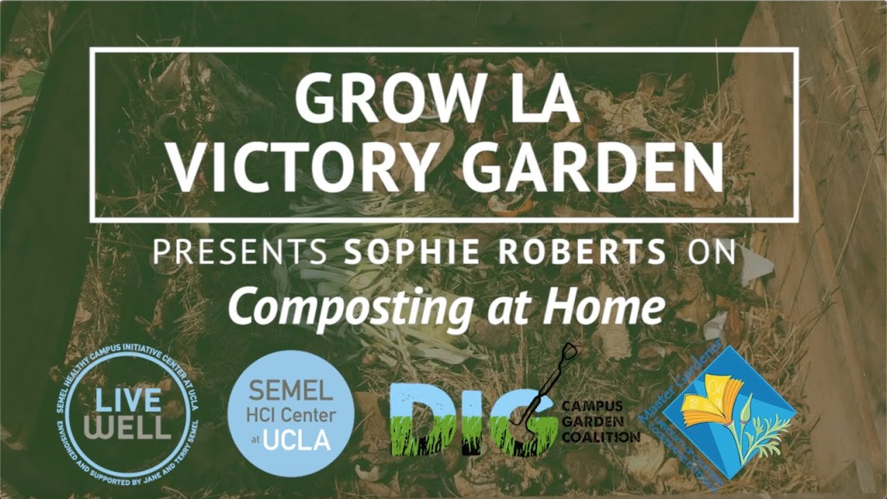 How to Compost at Home - with Sophia Roberts