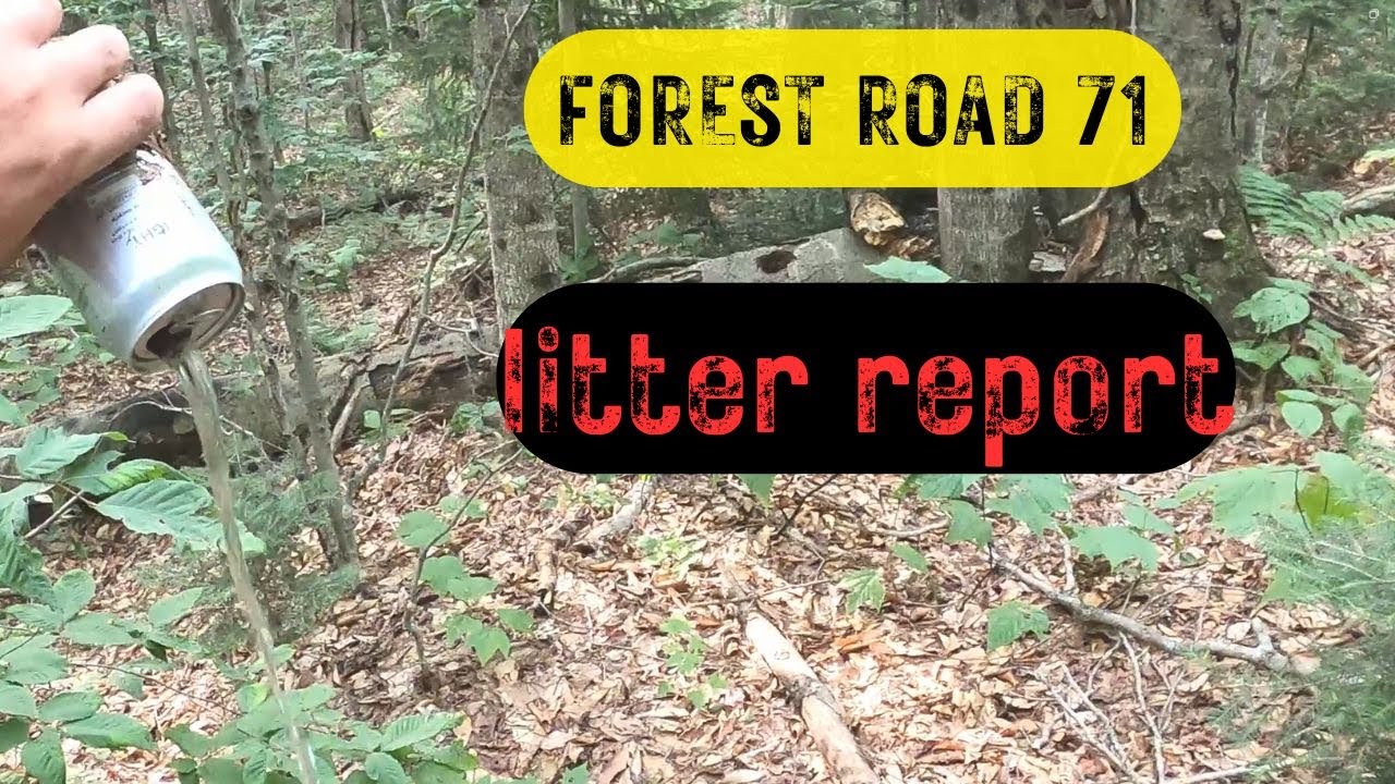 Cleaning up Forest Road 71 in Vermont's GMNF