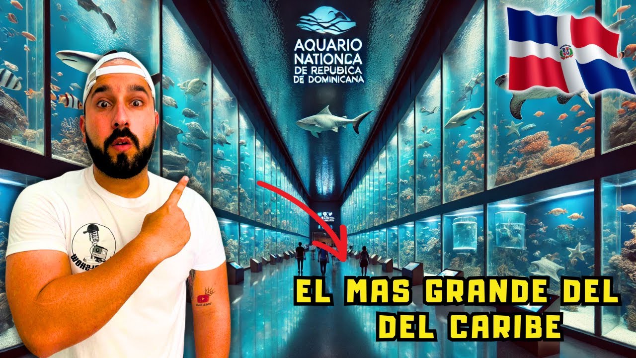 ACUARIO NACIONAL 🐠 DE LA REPÚBLICA DOMINICANA 🇩🇴. EL MÁS IMPRESIONANTE DEL CARIBE 🌊.