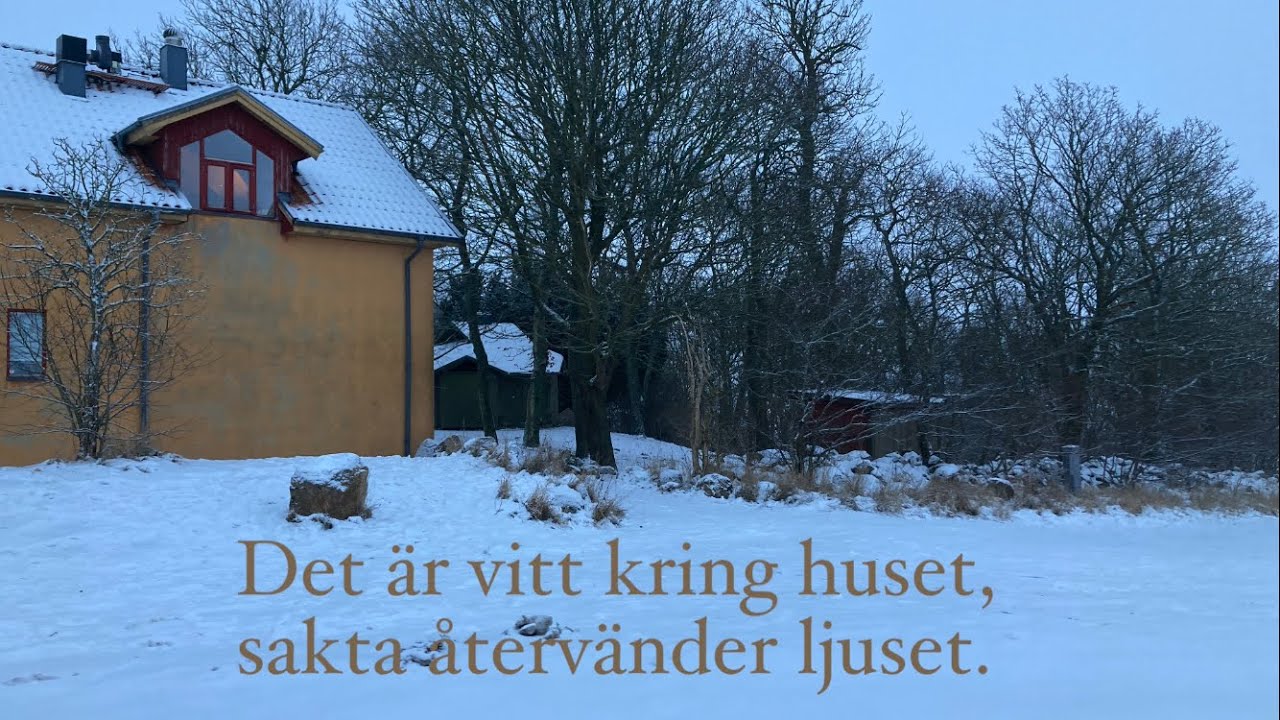 Vintervisa: Det är vitt kring huset (med text) | Februarivisa | Waldorfsång