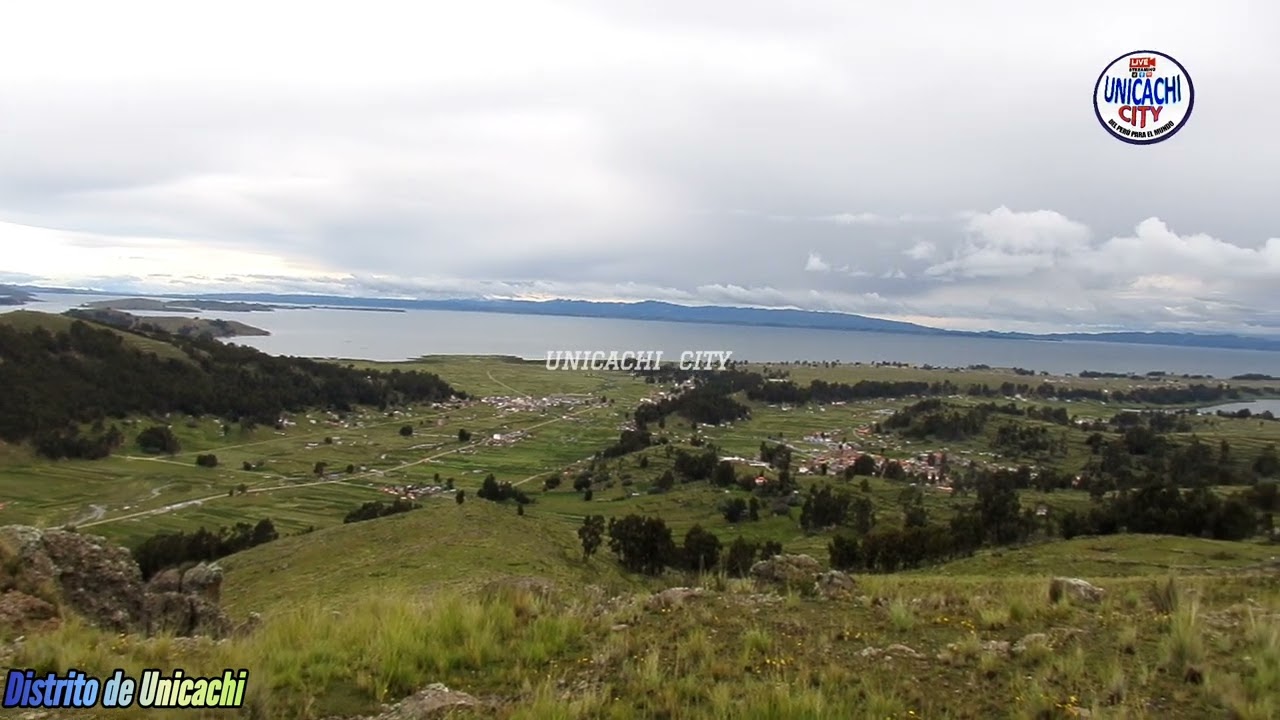 Dstrito de Unicachi, provincia de Yunguyo. Puno, eternamente bello🌳