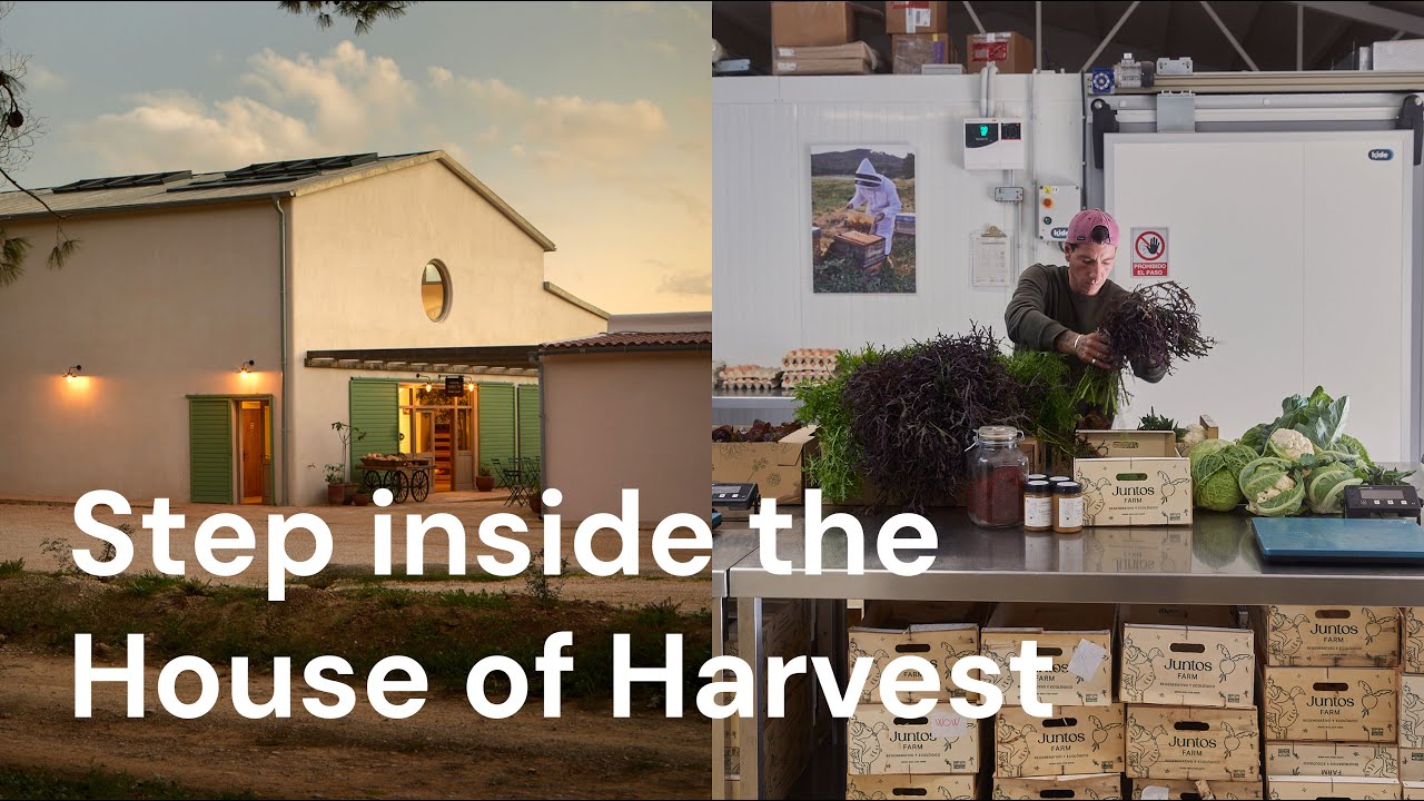 Step Inside the House of Harvest at Juntos Farm with Finn Harries