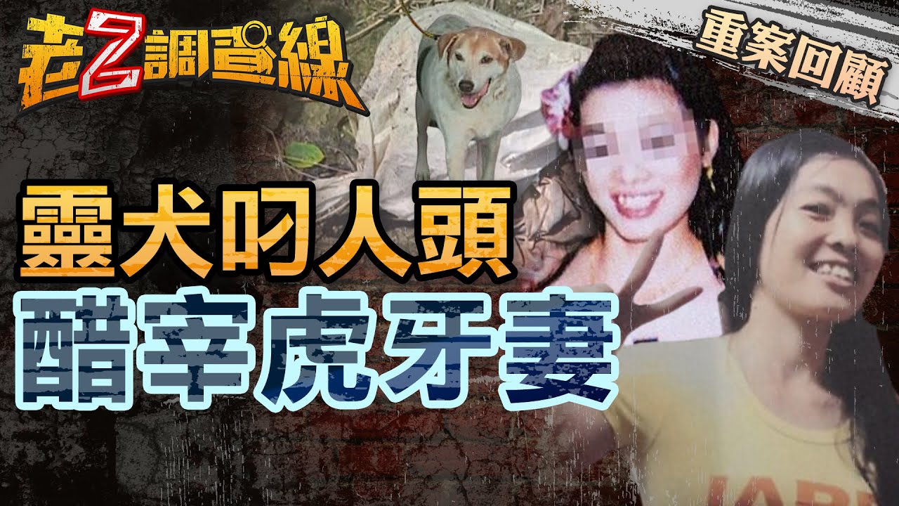 【案161】忤惡!台南靈犬